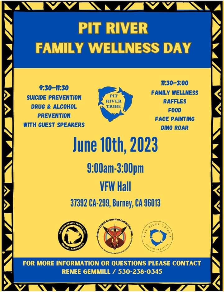 Wellbriety meeting flyer