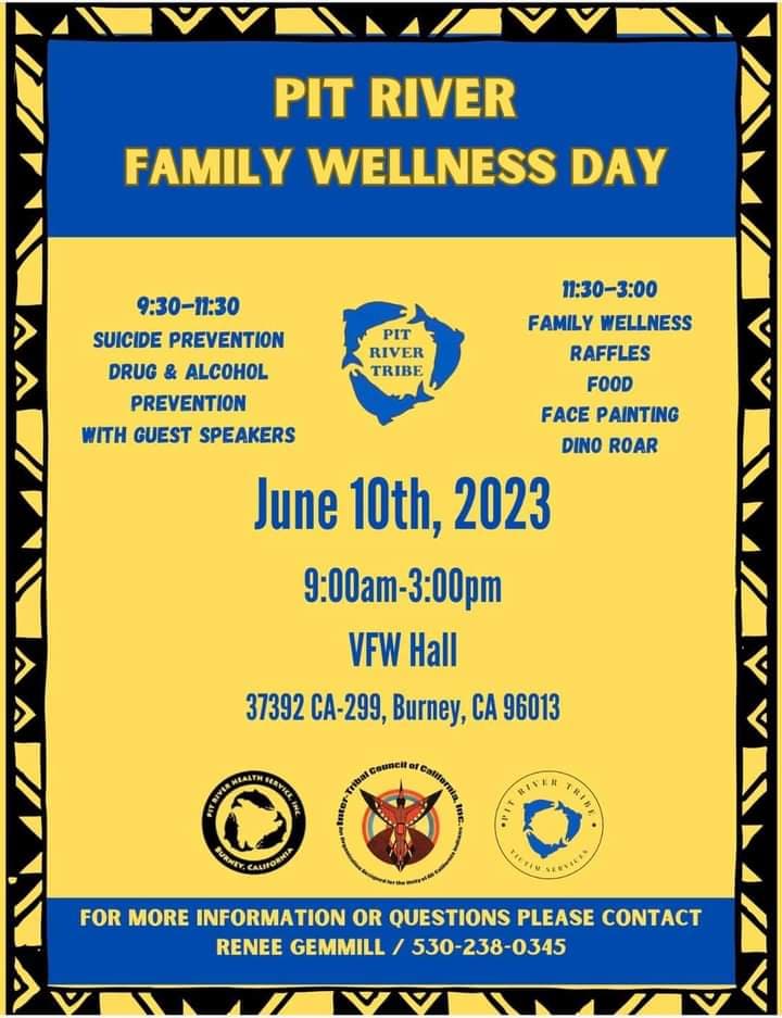 Wellbriety meeting flyer